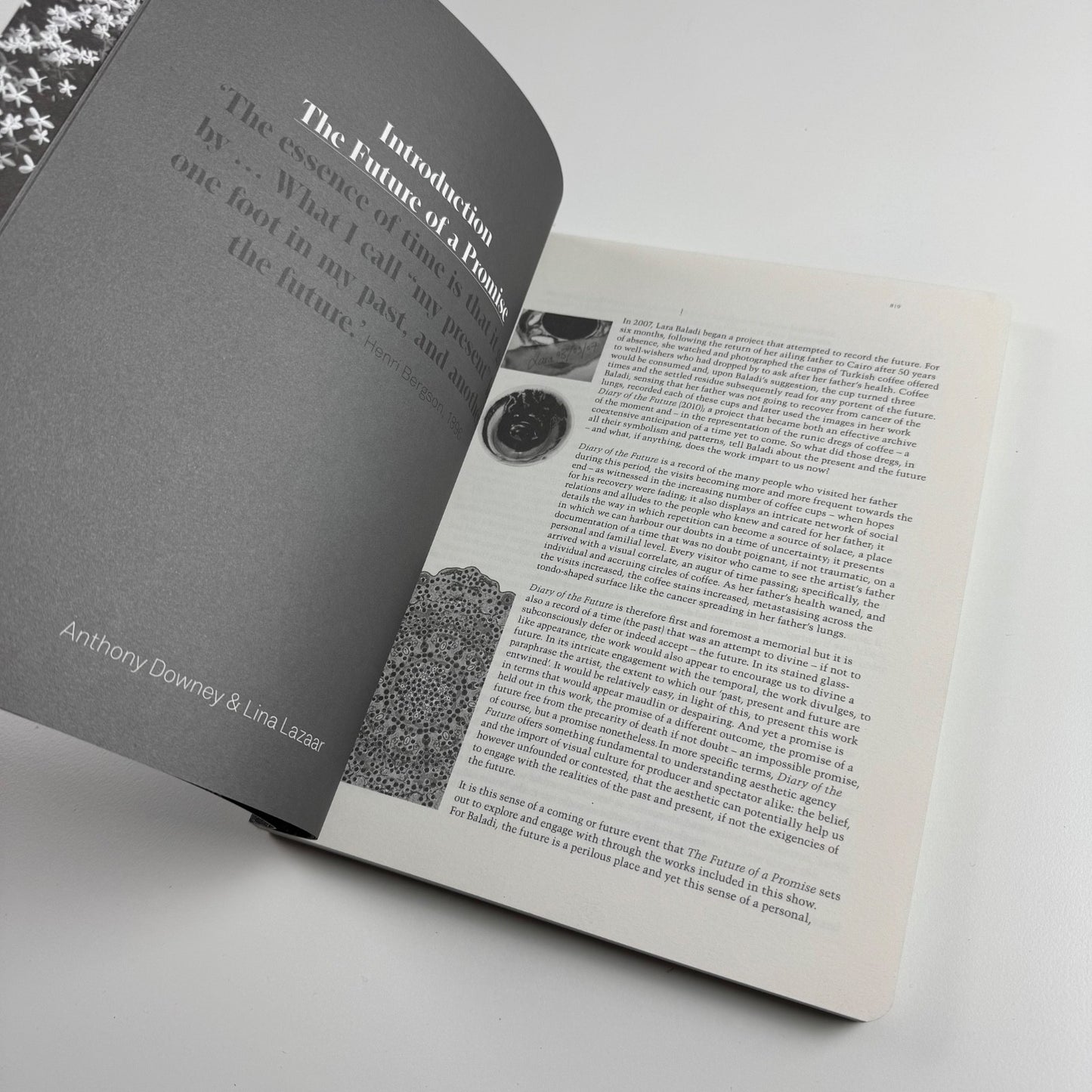 The Future of a Promise. Contemporary Art from the Arab World Venice Biennale, 2011