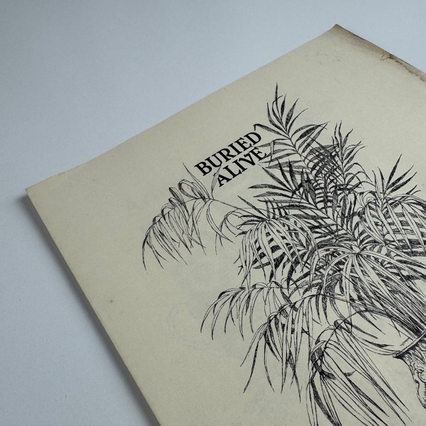 Prospectus for Buried Alive by Arnold Bennett | The Inky Parrot Press, 1985