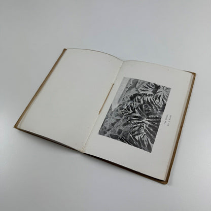 Some Contemporary English Artists | Birrell & Garnett Bookshop, 1921 | Duncan Grant cover | ex-libris Cyril Spencer Reddihough