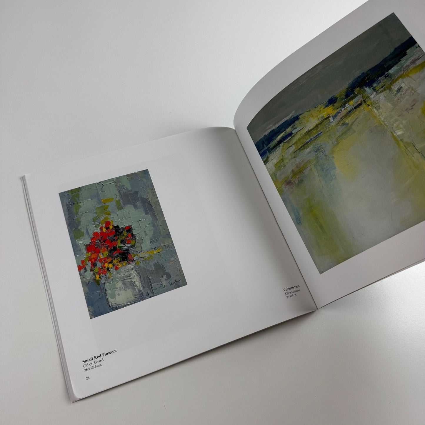Elsa Taylor A Conversation in Colour | Lemon Street Gallery, 2014