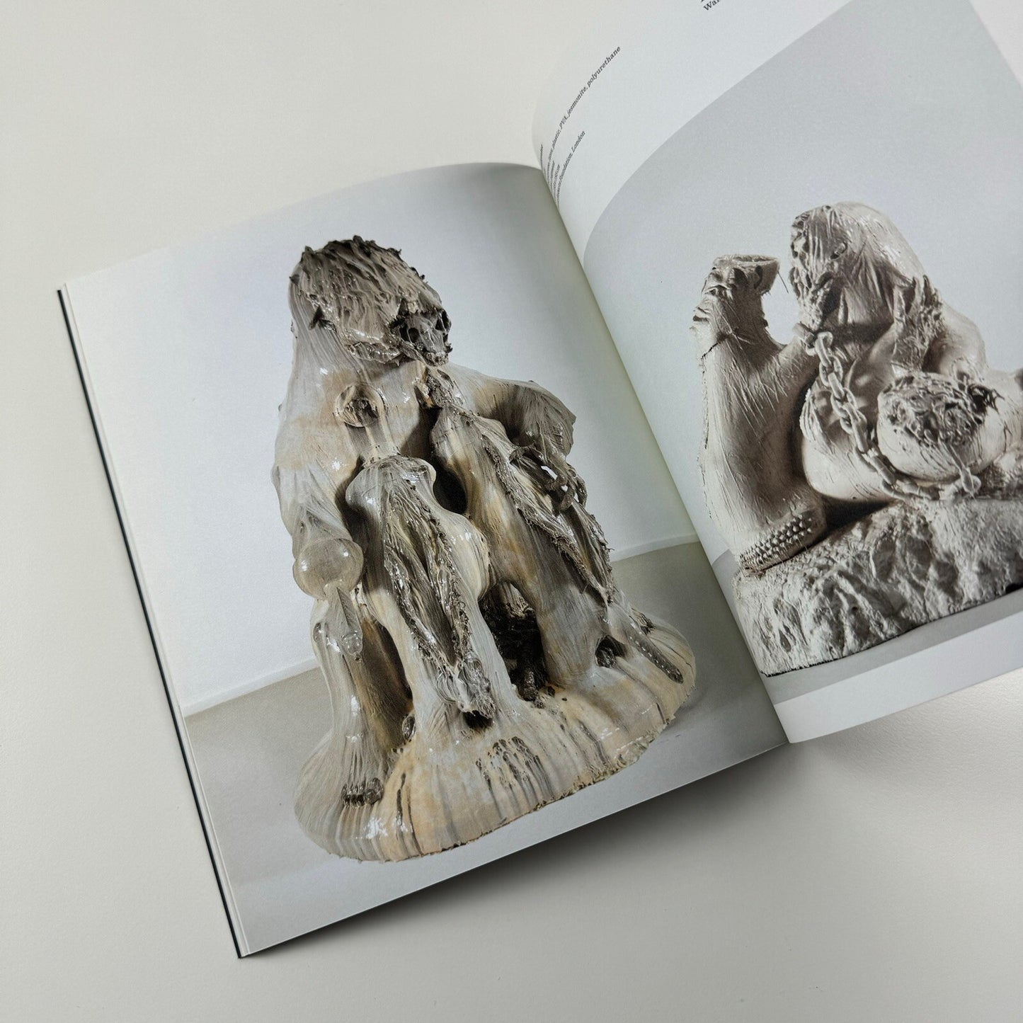 Alex Hoda. Opening up the Inside | Gantry Projects, London, 2009 catalogue