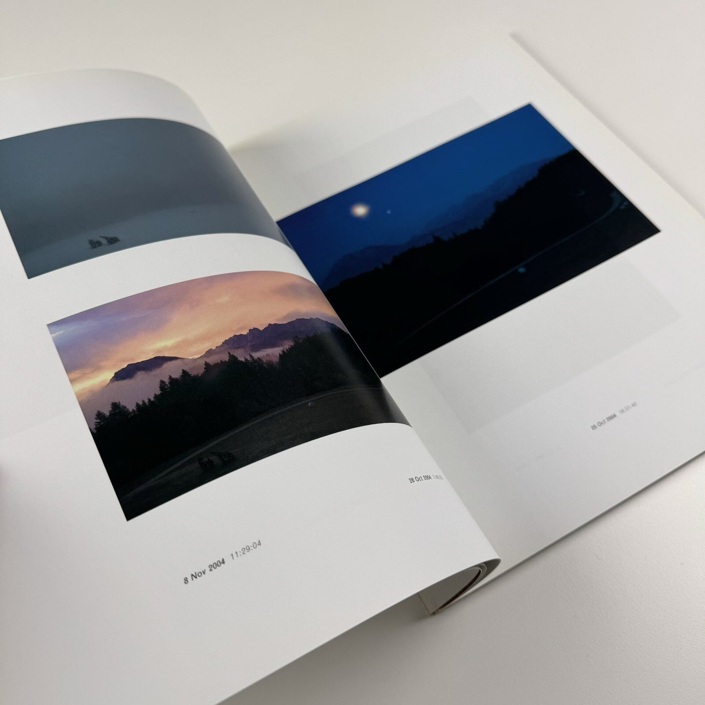 Maryam & Rolf Sachs: Wild & Real? | Phillips de Pury & Co catalogue, 2006