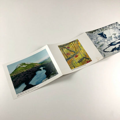 Alan Bray – Main Coast Artists | Schmidt Bingham Gallery 1996 | Folded card