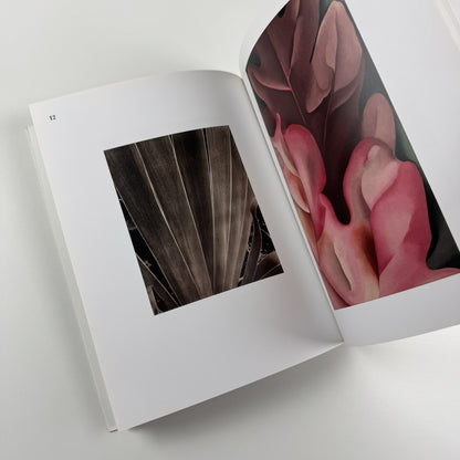 Seven Americans – Charles Demuth, Arthur Dove, Marsden Hartley, John Marin, Georgia O’Keefe, Alfred Stieglitz, Paul Strand | Bruce Silverstein catalogue, 2012