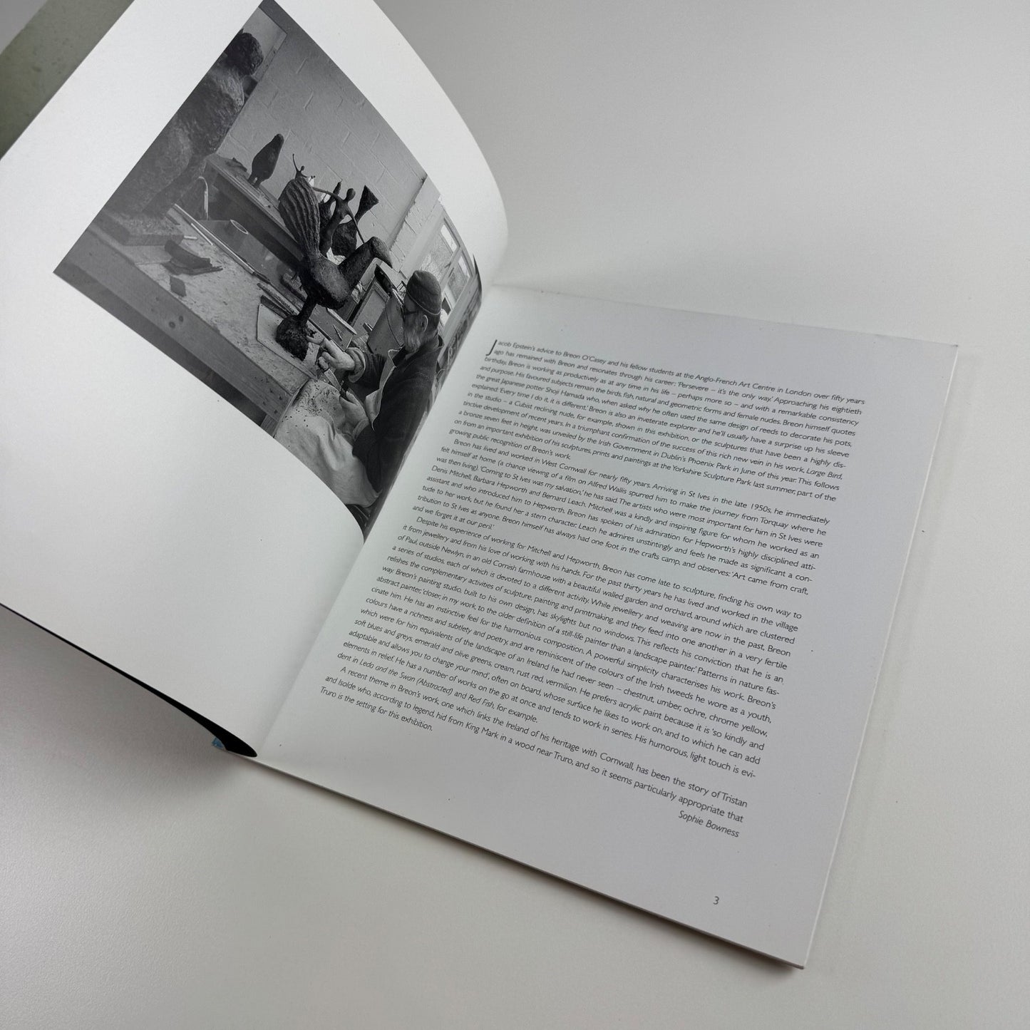 Catalogue for Breon O'Casey | Lemon Street Gallery, 2006