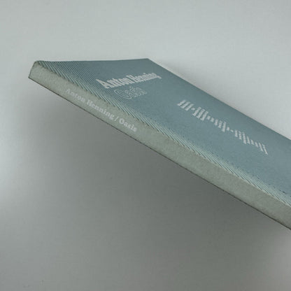 Anton Henning Oasis | Haunch of Venison, London 2007