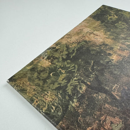 Emily Patrick – Recent Paintings 2002-2005 | The Air Gallery catalogue, 2005