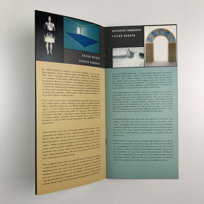 Radicalchip. Contemporary Art from Japan | Gallery guide, 1991 Japan Festival
