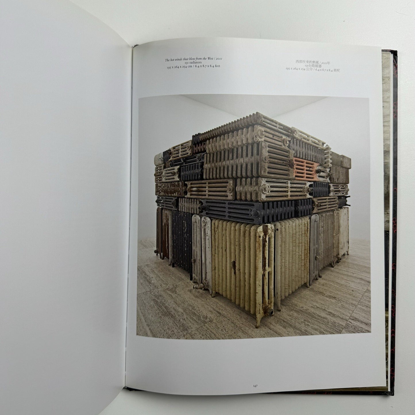 Bharti Kher – Blind, eyes open | Galerie Perrotin 2012 catalogue