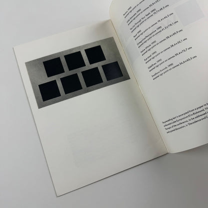 Kay Rosen. Painting 1990. Little Critic Pamphlet Three Victoria Miro Gallery