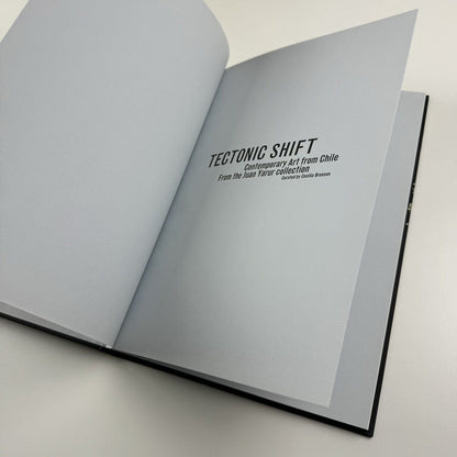 Tectonic Shift. Contemporary Art from Chile from the Juan Uarur Collection | Phillips de Pury & Co catalogue, 2010