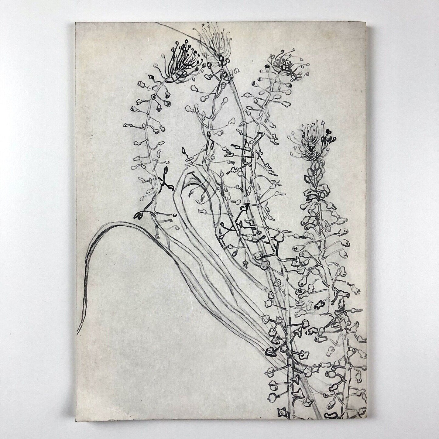 Vincent Van Gogh | Stedelijk Museum exhibition catalogue | Cat. no. 134, 1955