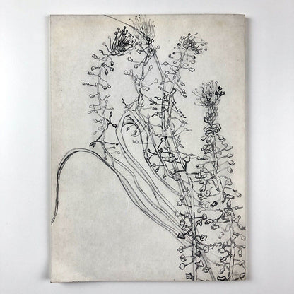 Vincent Van Gogh | Stedelijk Museum exhibition catalogue | Cat. no. 134, 1955
