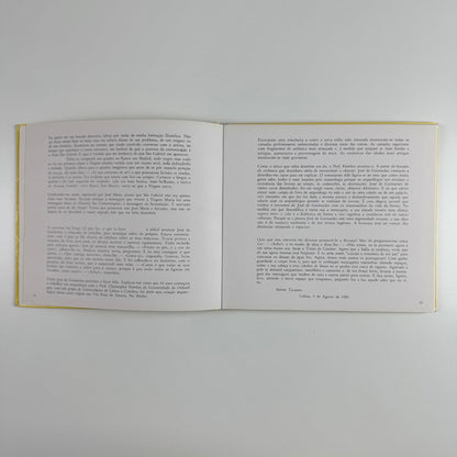 José de Guimarães. Esculturas e Pinturas | Marie & Volker Huber, 1985