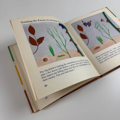 The Wonder World of Insects by Marie Neurath | Max Parrish, 1953 Isotype