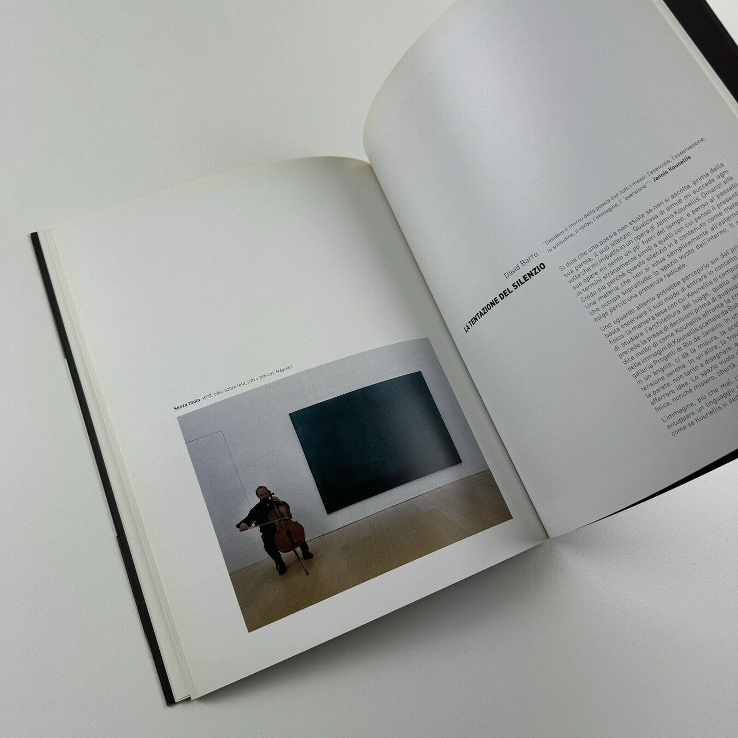 Jannis Kounellis | Progetti Gallery, Rio de Janeiro | Exhibition catalogue, 2008