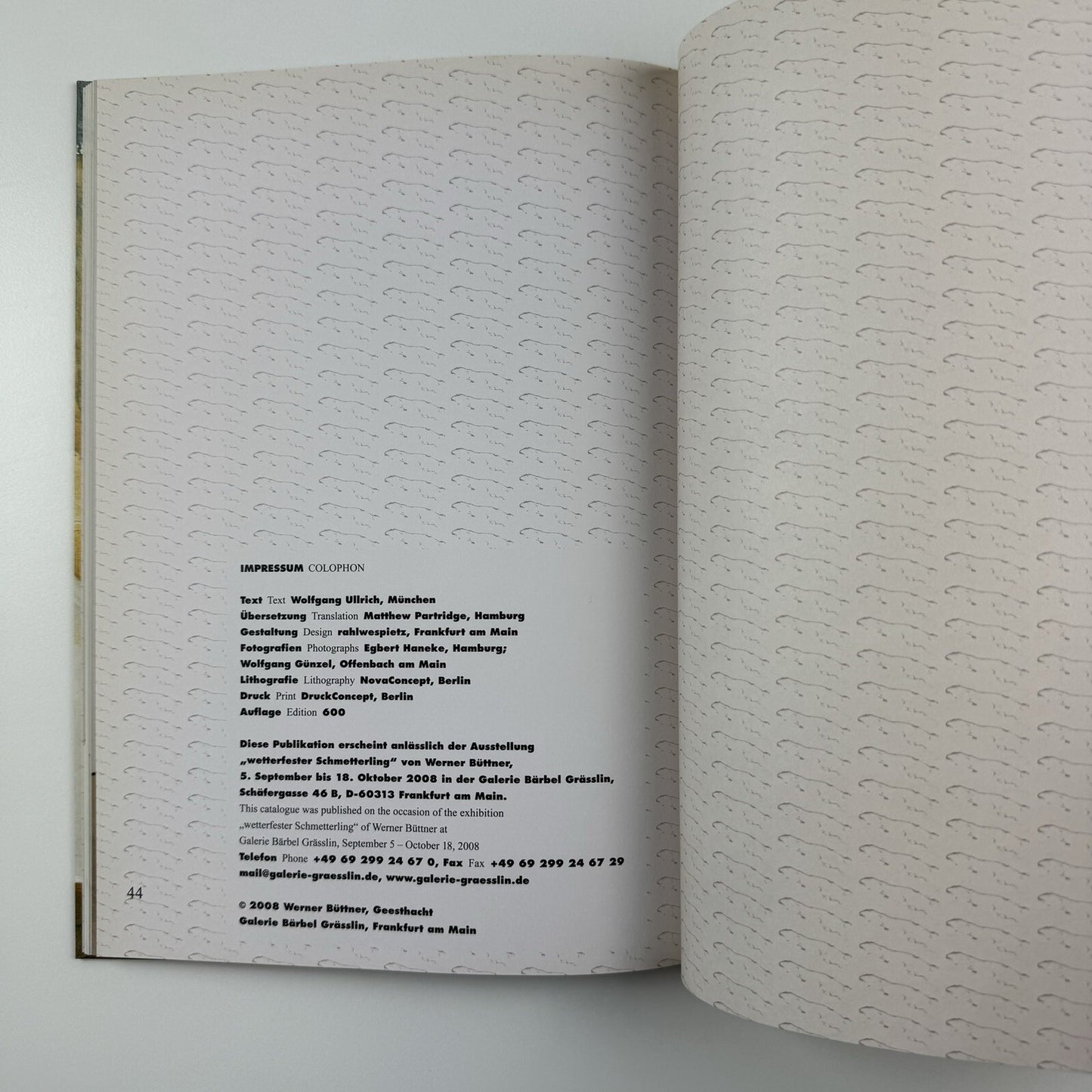 Werner Büttner. “Wetterfester Schmetterling” | Galerie Bärbel Grässlin exhibition catalogue, 2008