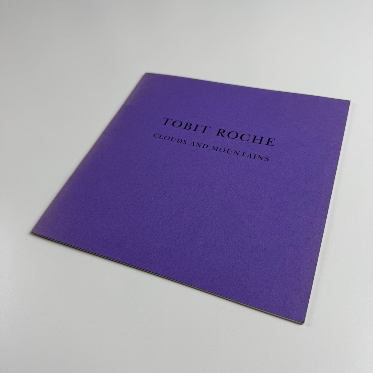 Tobit Roche. Clouds and Mountains Recent Paintings | The Maas Gallery, 2001