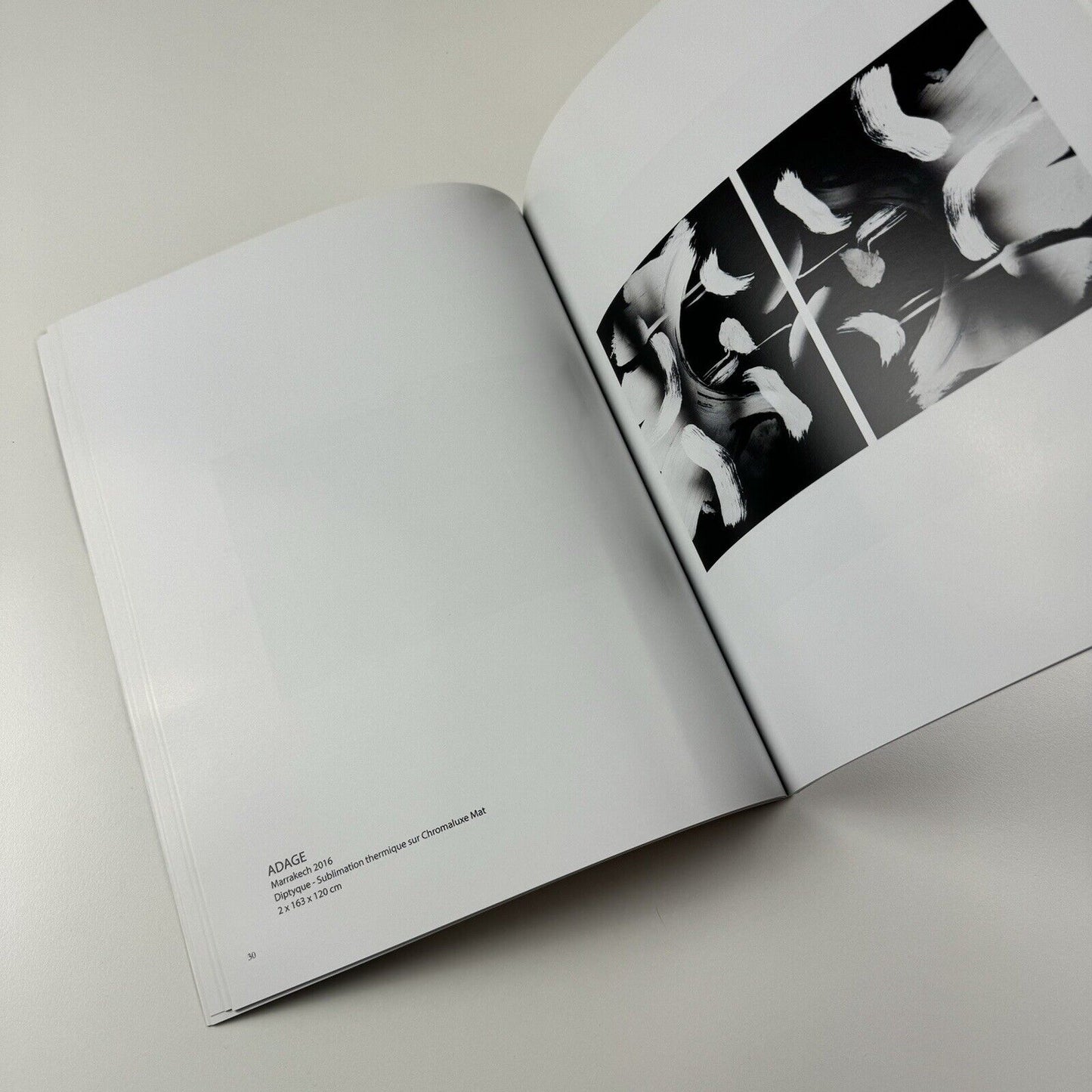 Olivier Dassault. Focus | Fondation Montresso 2016