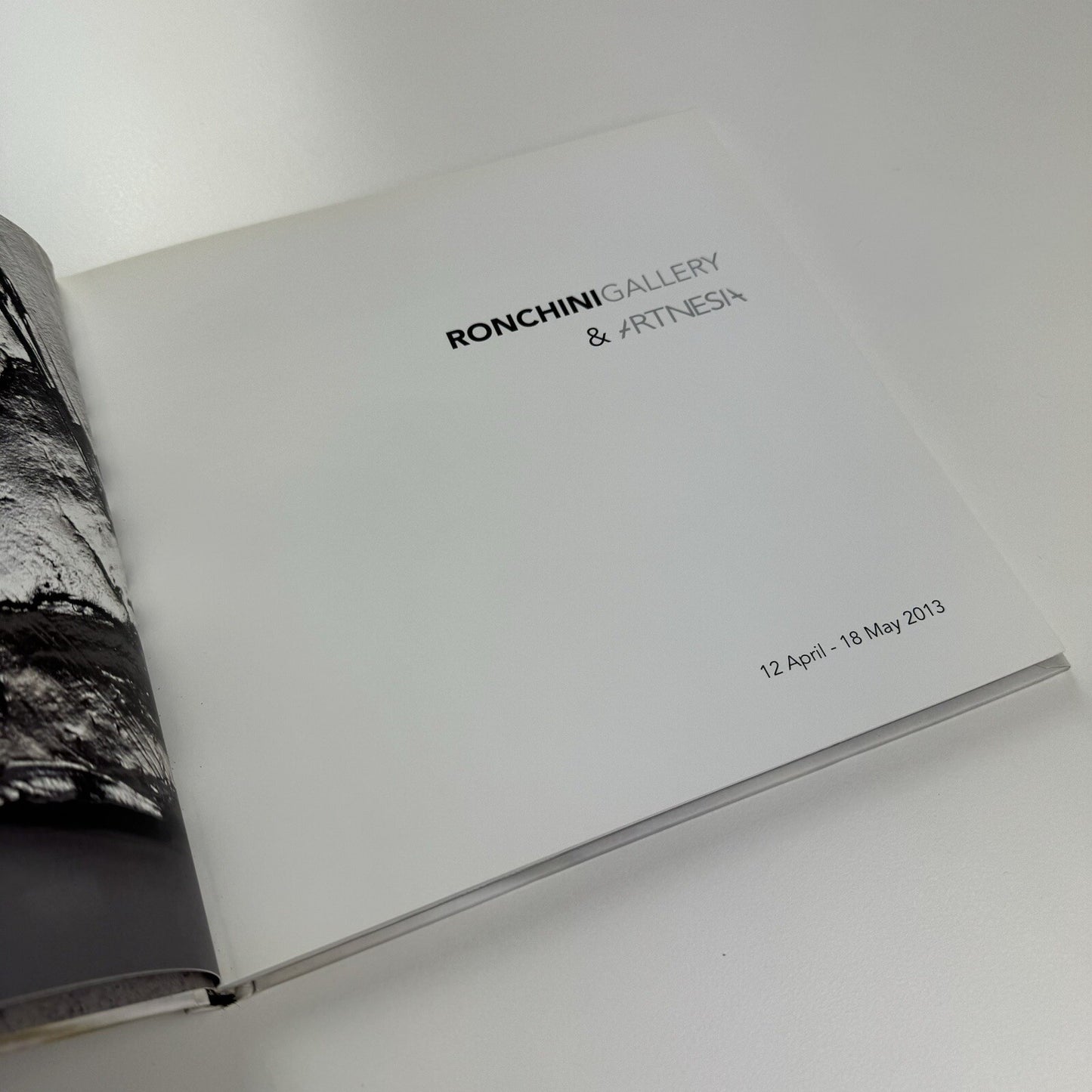 Rebecca Ward. Cow Tipping | Ronchini Gallery / Artnesia 2013 catalogue