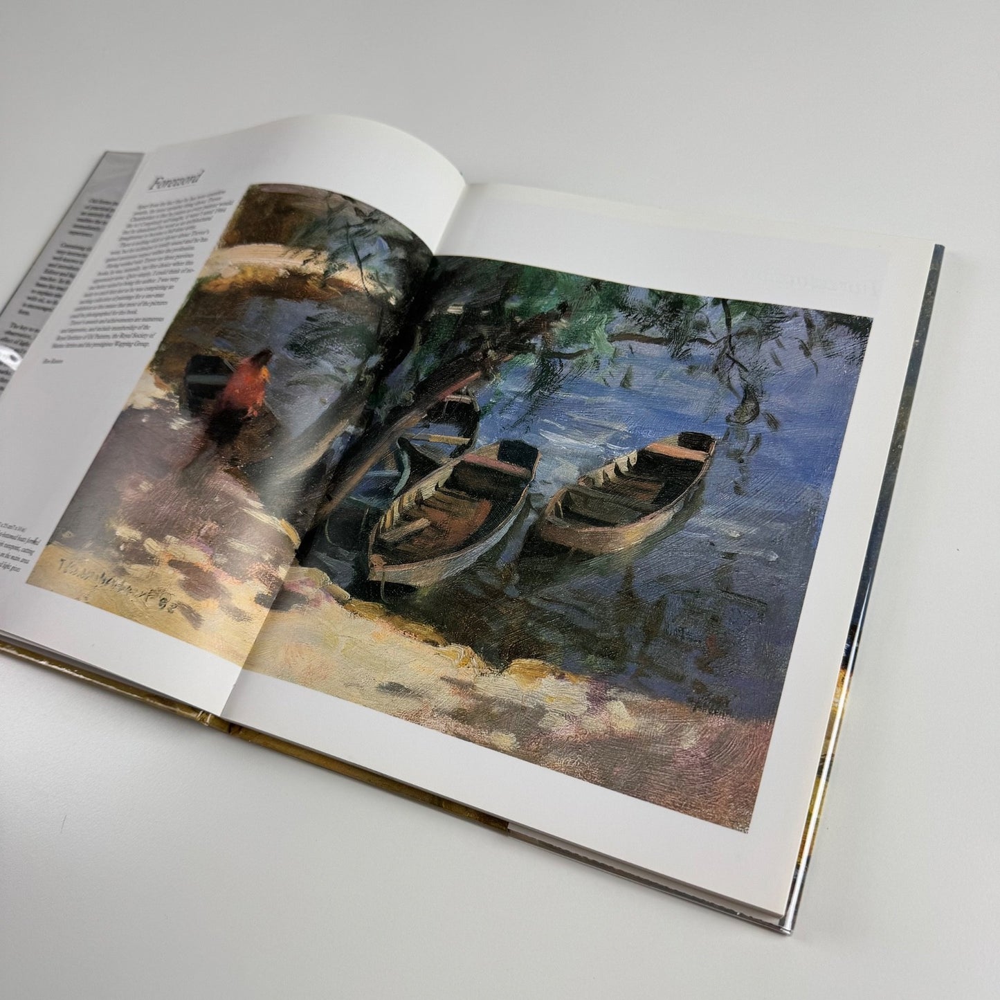 Ron Ranson’s Painting School. Oils by Trevor Chamberlain. Anaya Publishers, 1993