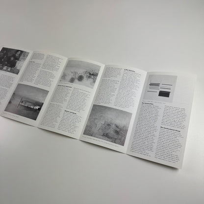 Guide to Victor Pasmore Changing the Process of Painting Tate Liverpool 1999