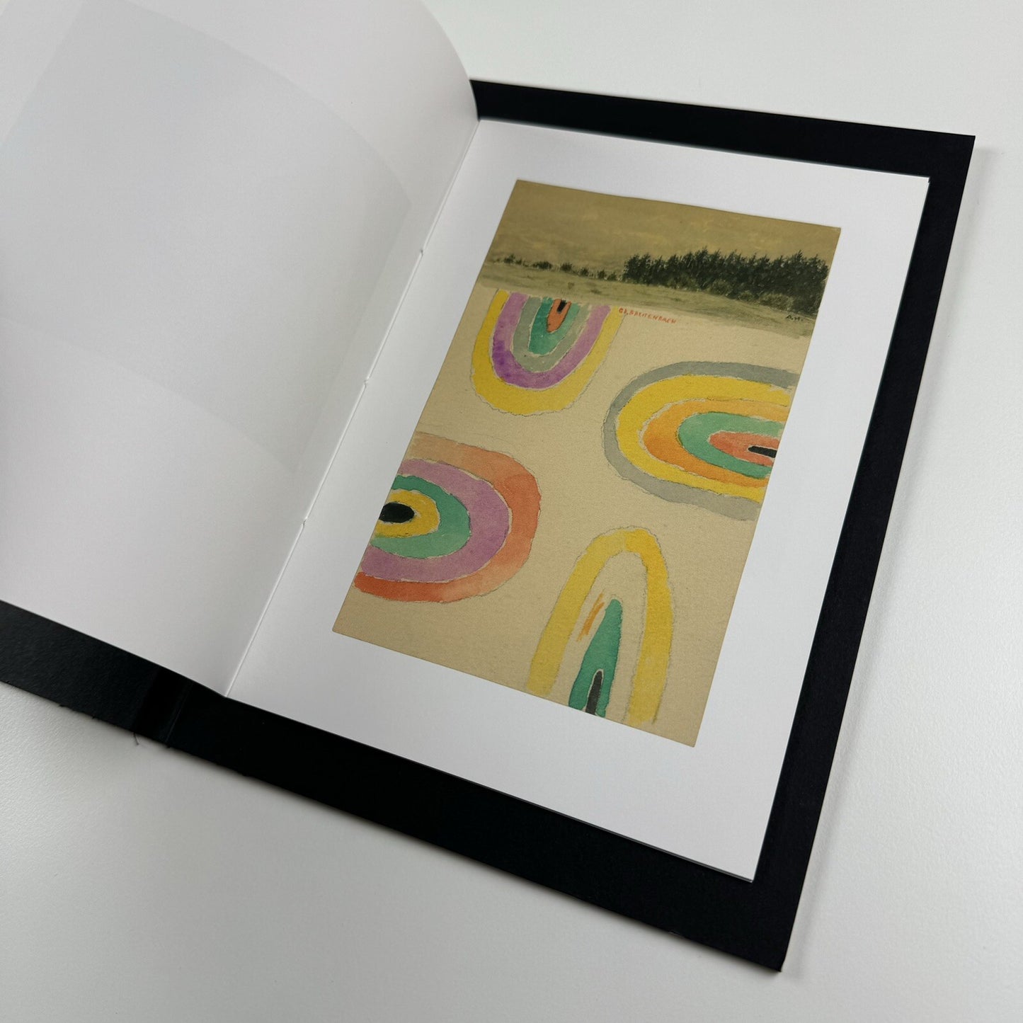 Jake & Dinos Chapman – If Hitler Had Been a Hippy How Happy Would We Be | White Cube catalogue, 2008