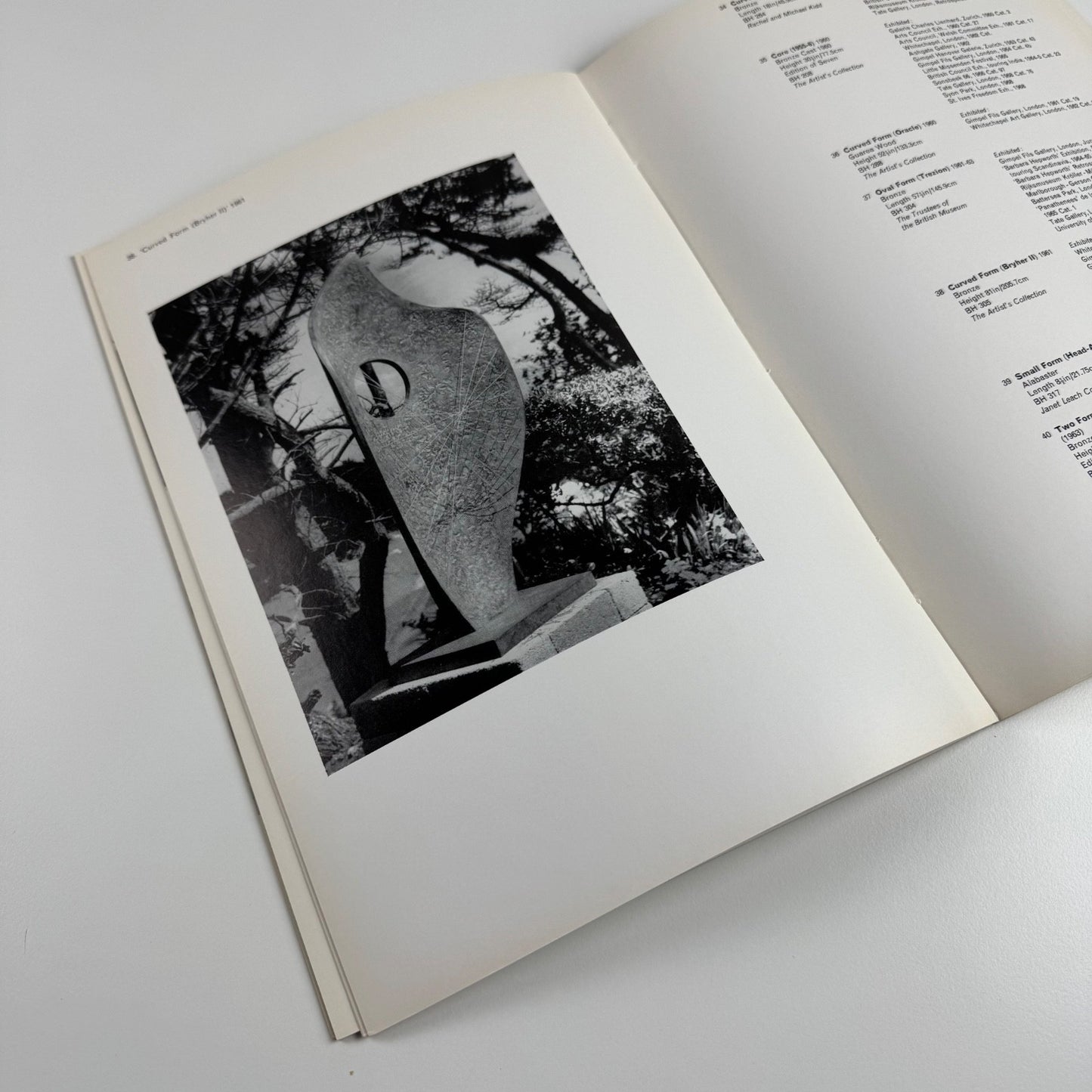 Barbara Hepworth | Plymouth City Art Gallery, 1970
