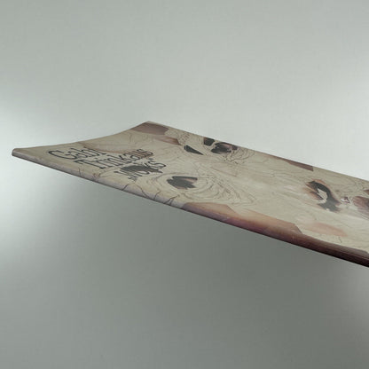 Gabi Trinkaus “works” | Georg Karl BOX and Neue Galerie Graz, 2005 catalogue