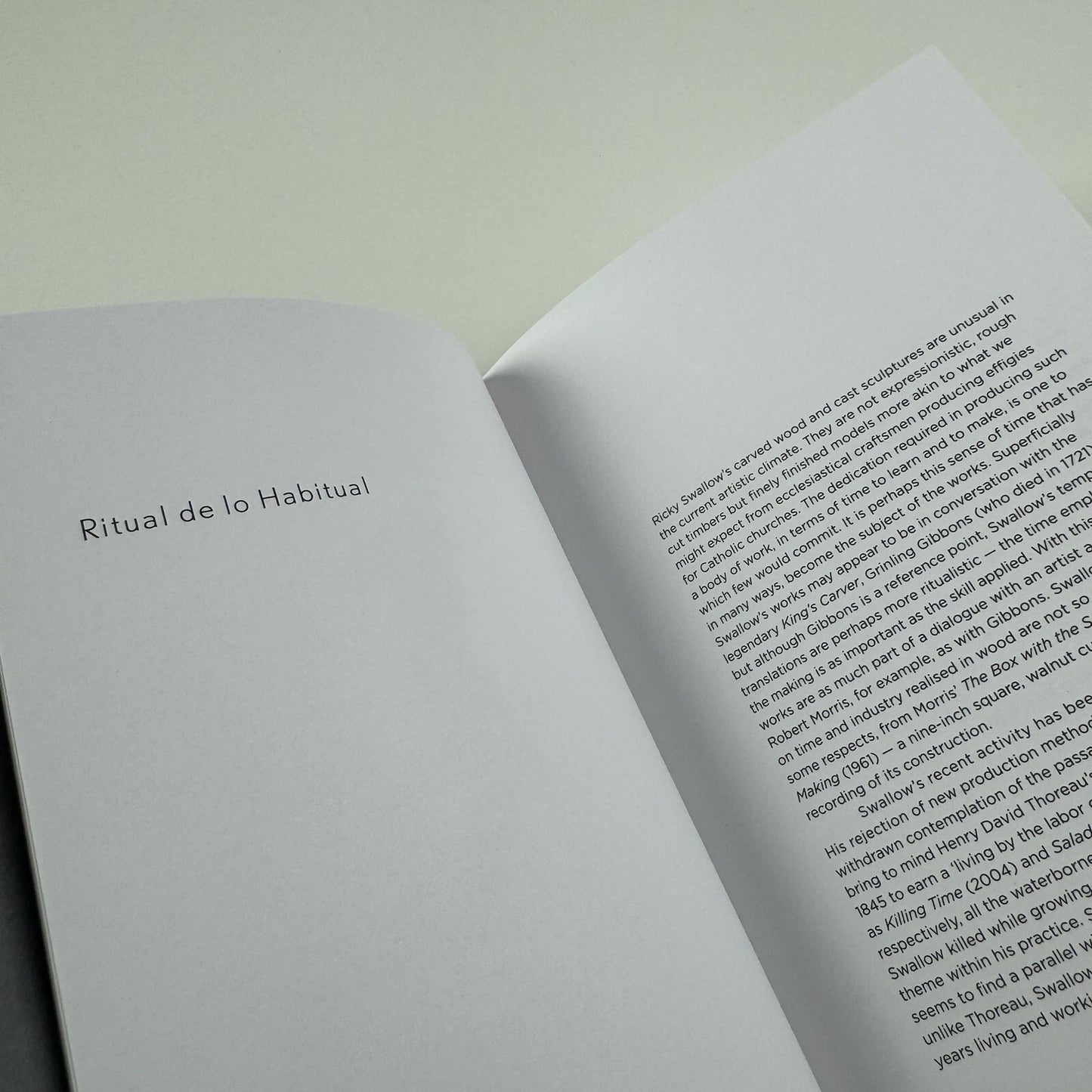 Ricky Swallow | Douglas Hyde Gallery Dublin, 2007 exhibition catalogue