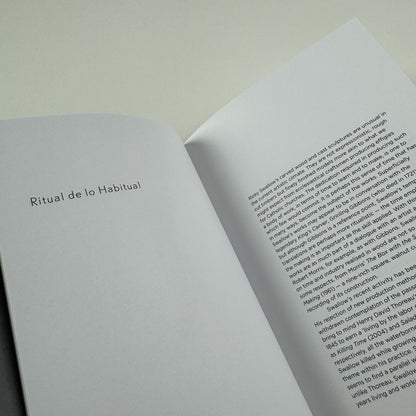 Ricky Swallow | Douglas Hyde Gallery Dublin, 2007 exhibition catalogue