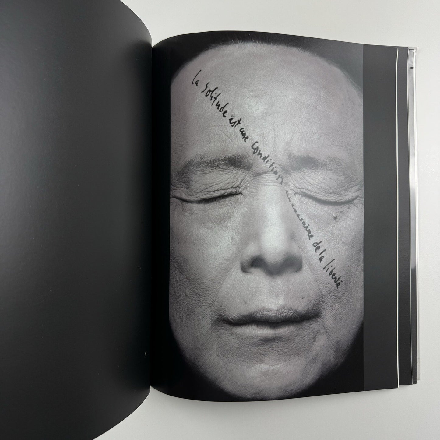 Voom Portraits. Robert Wilson | Phillips de Pury, Paula Cooper Gallery, 2007 catalogue