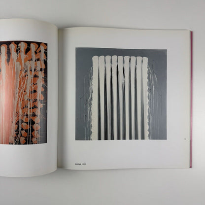 Ian Davenport | Ikon Gallery exhibition catalogue, 2004