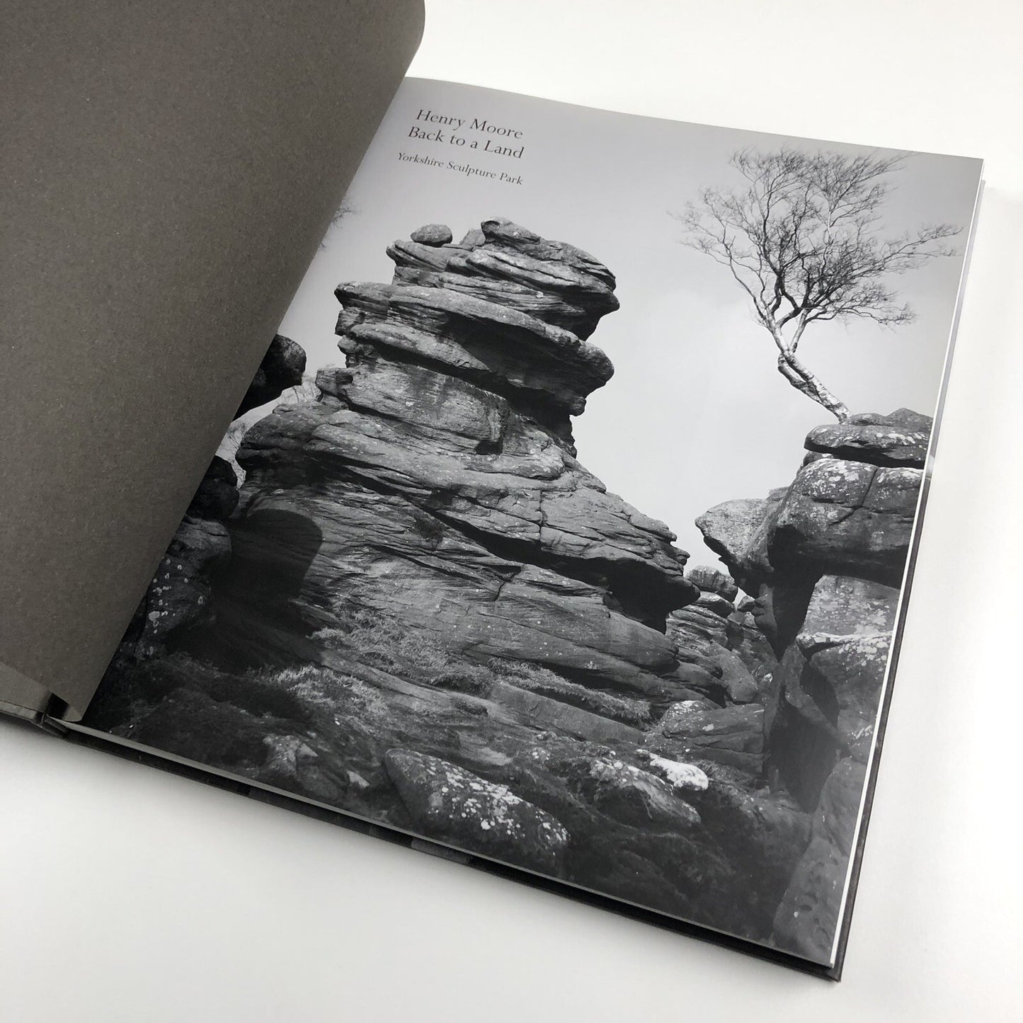 Henry Moore – Back to a Land | Yorkshire Sculpture Park, 2016