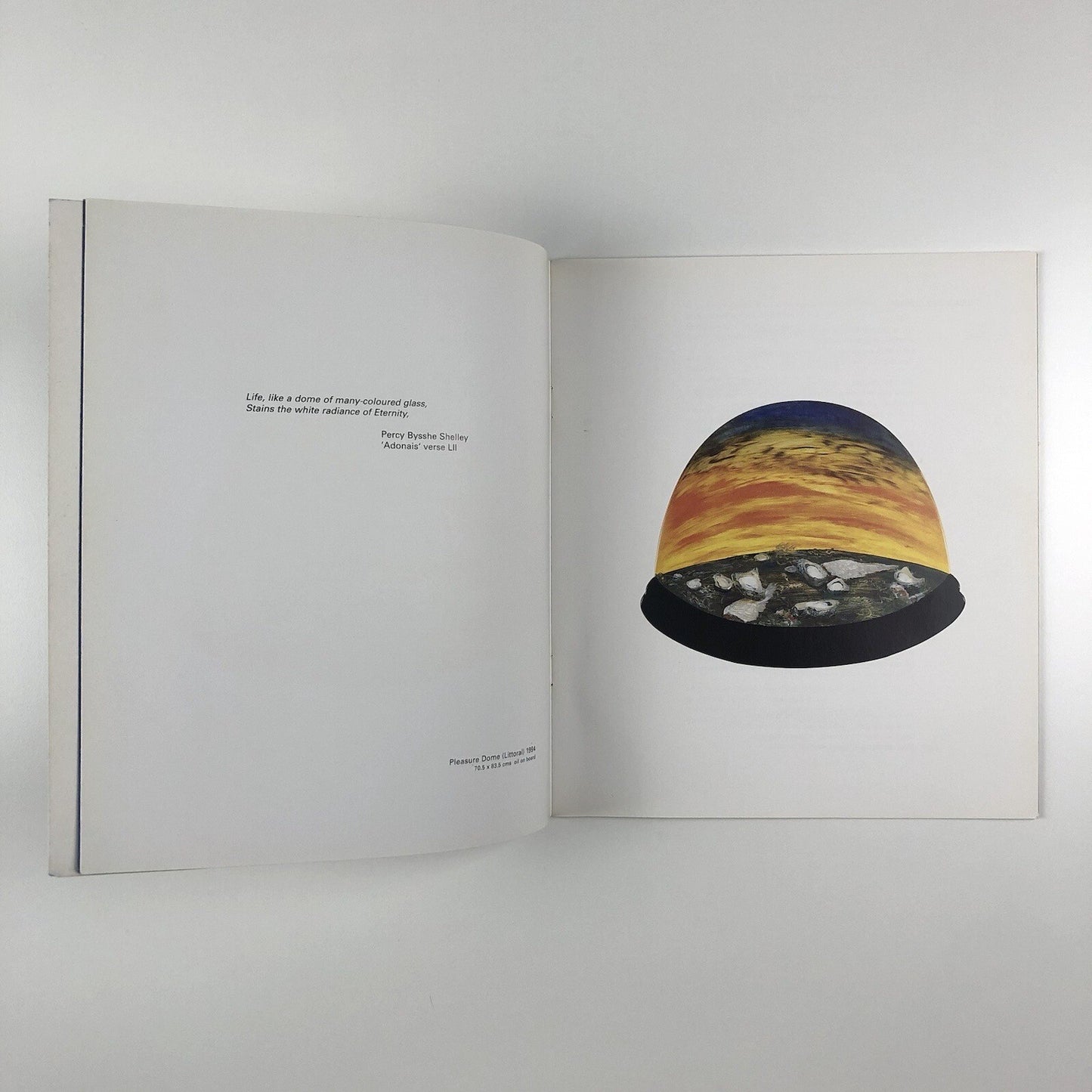 Pleasure-Dome Paintings by Christopher Cook | Essay by Tony Godfrey, 1995