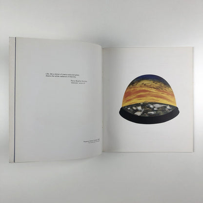 Pleasure-Dome Paintings by Christopher Cook | Essay by Tony Godfrey, 1995