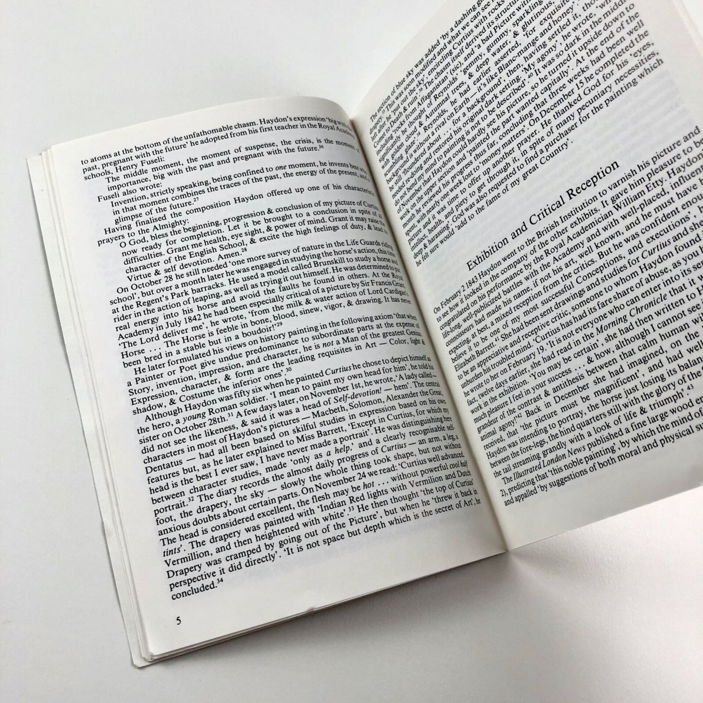 The Tragi-Comical History of B.R. Haydon's Marcus Curtius Leaping into the Gulf by Michael Pidgley | Exeter College of Art and Design, 1986