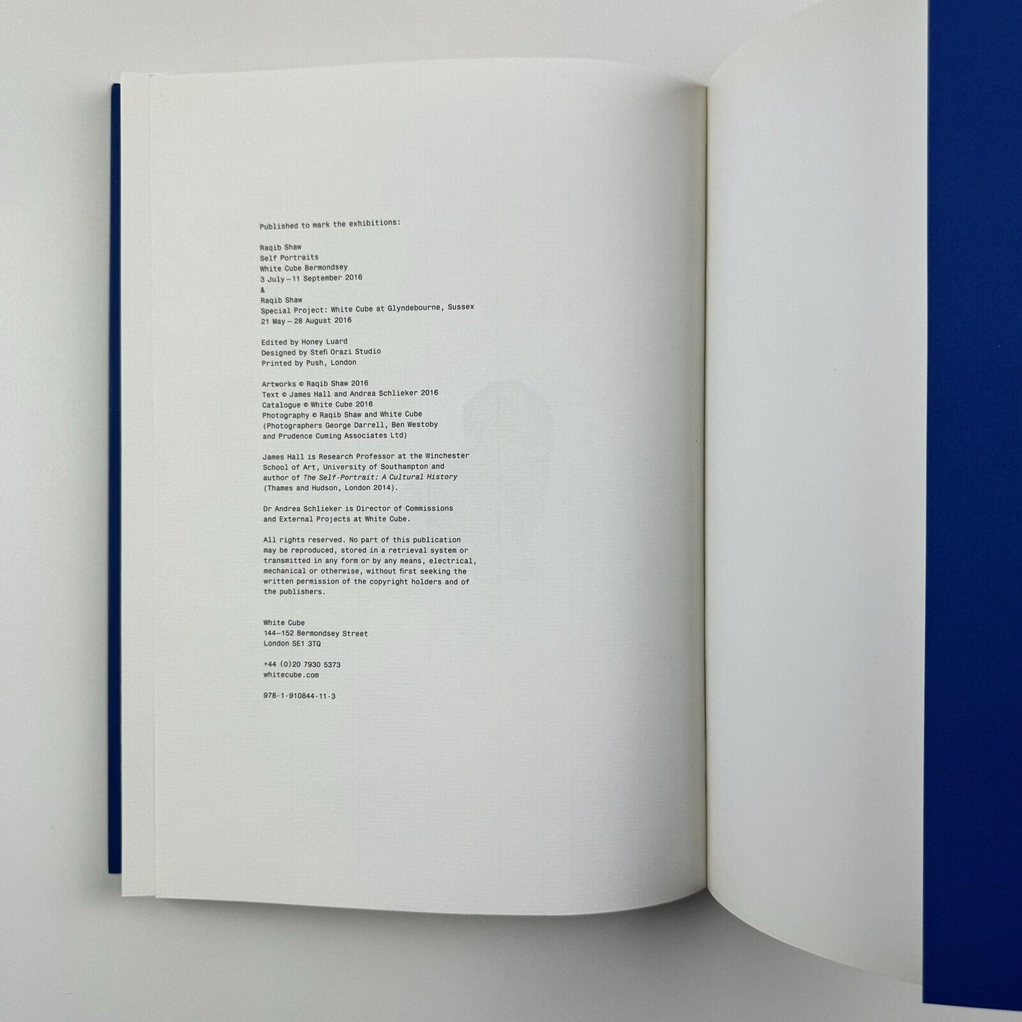 Raqib Shaw: Self Portraits text by James Hall | White Cube London, 2016