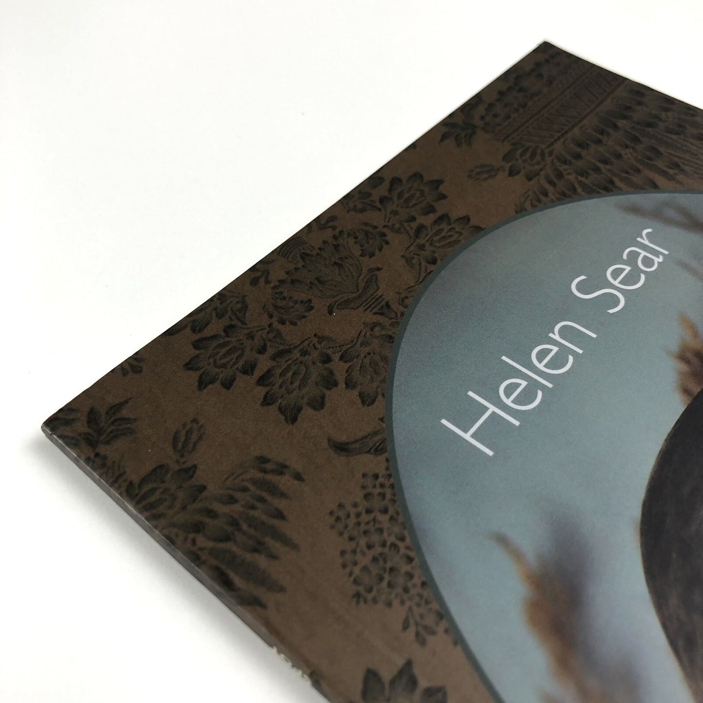 Helen Sear – Spot | Nottingham City Museums and Galleries, 2003