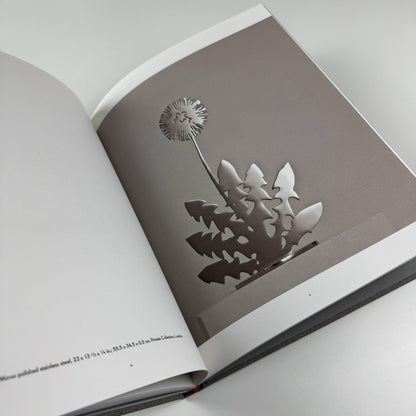Paul Morrison | Los Angeles Art Museum exhibition catalogue, 2008