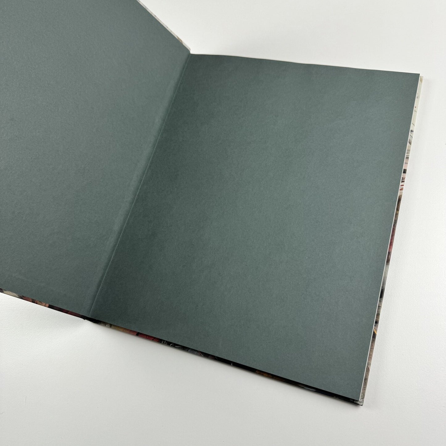 Ali Banisadr: In Medias Res | Galerie Thaddaeus Ropac text Philippe Dagen | 2015 catalogue