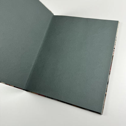 Ali Banisadr: In Medias Res | Galerie Thaddaeus Ropac text Philippe Dagen | 2015 catalogue