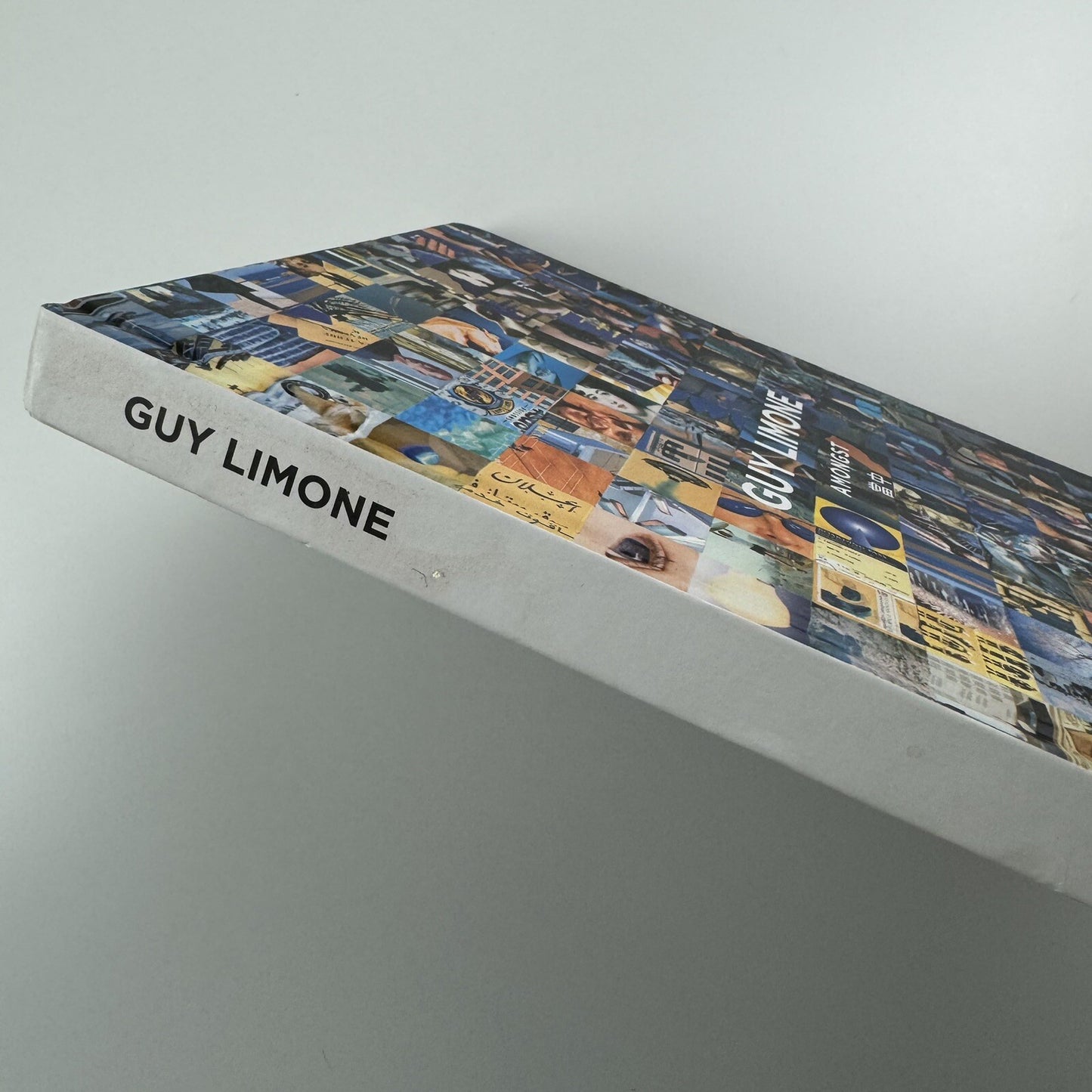Guy Limone – Amongst | Galerie Perrotin 2012 exhibition catalogue