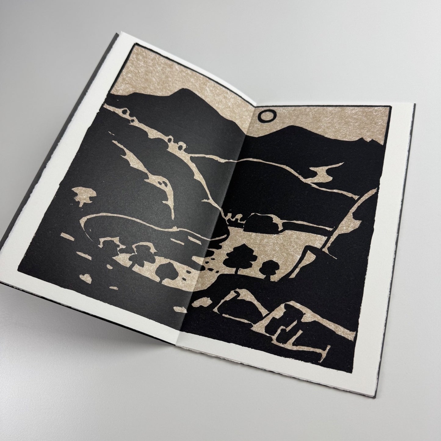 Ioan Bowen Rees. Dolgellau Darlun gan Kyffin Williams | Gwasg Gregynog 1998