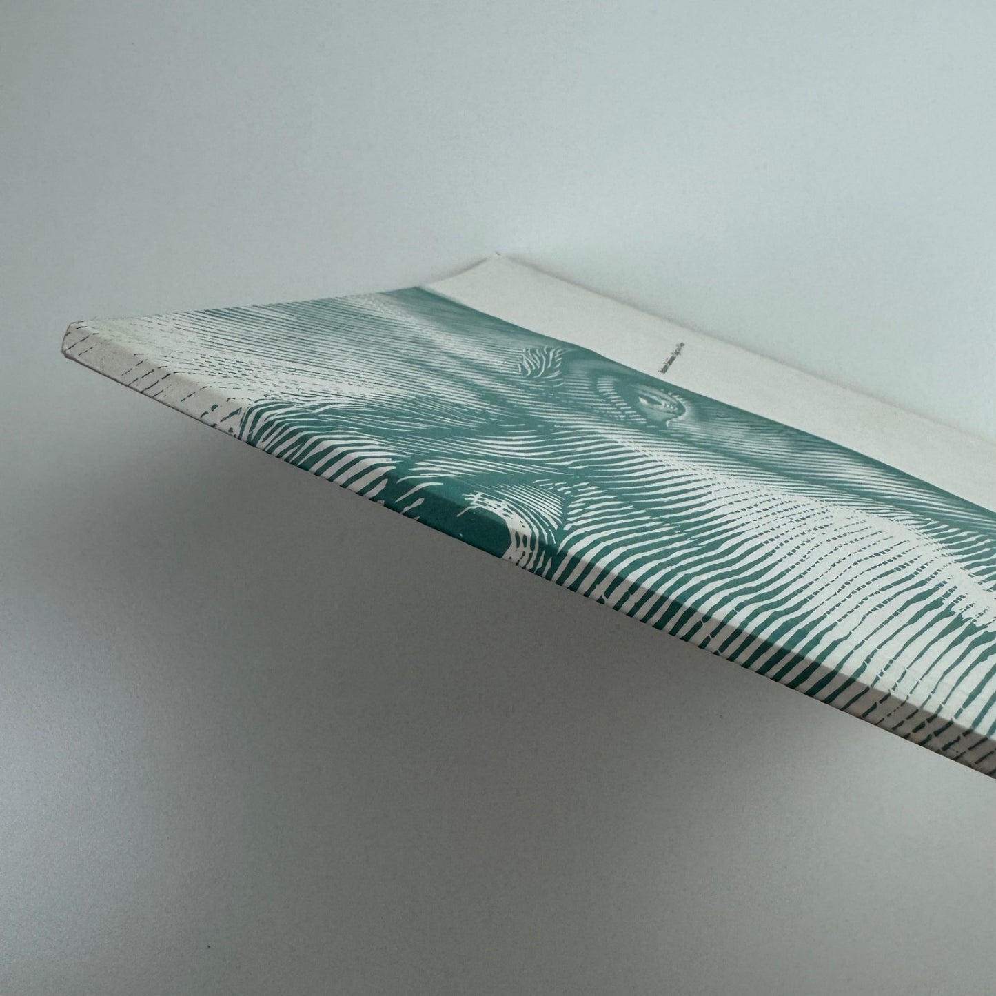 Andrew Davidson. Pages to View | undated catalogue
