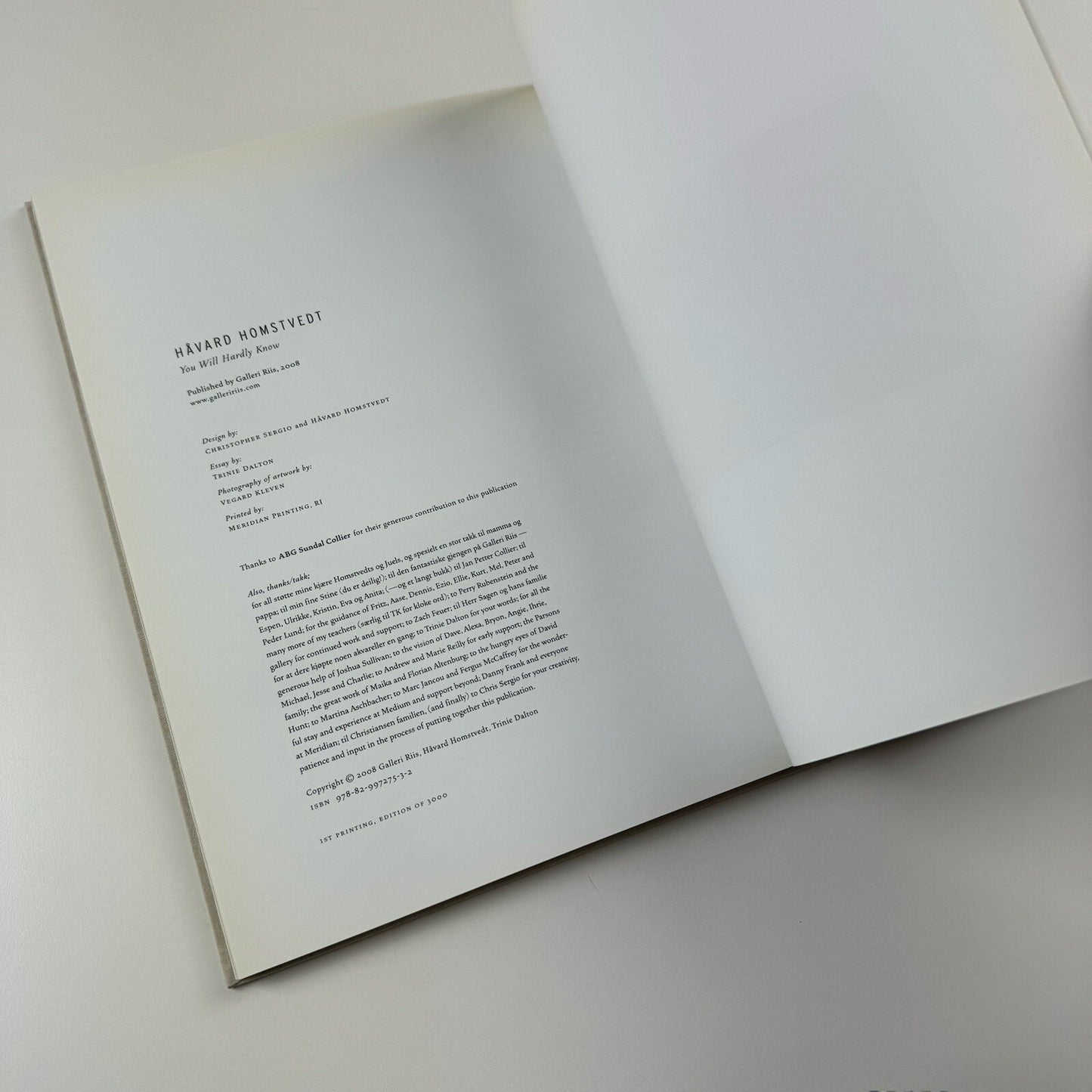Håvard Homstvedt: You Will Hardly Know | Galleri Riis, 2008 catalogue