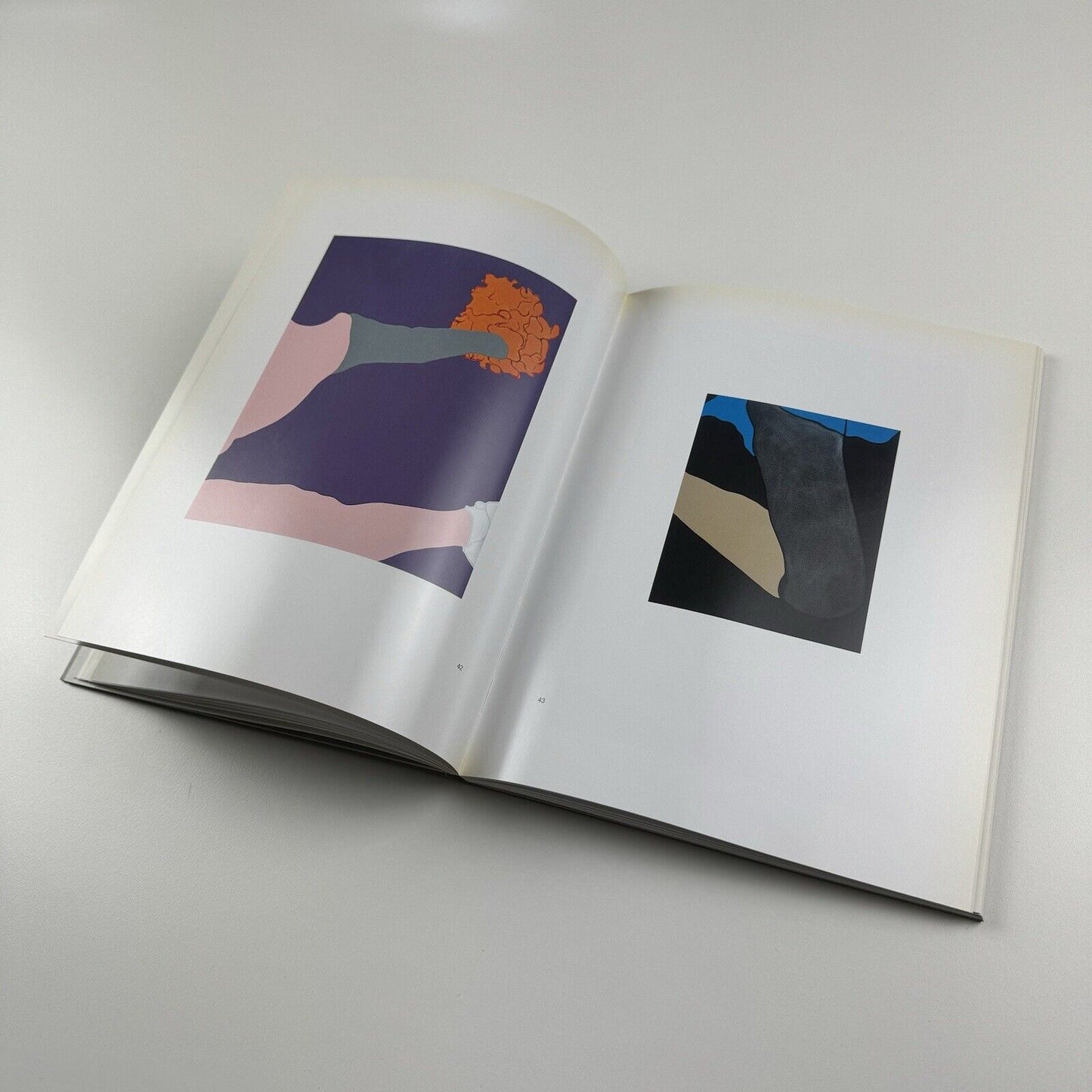 Gary Hume. American Tan | White Cube, London, 2007