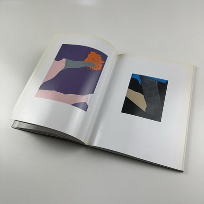 Gary Hume. American Tan | White Cube, London, 2007