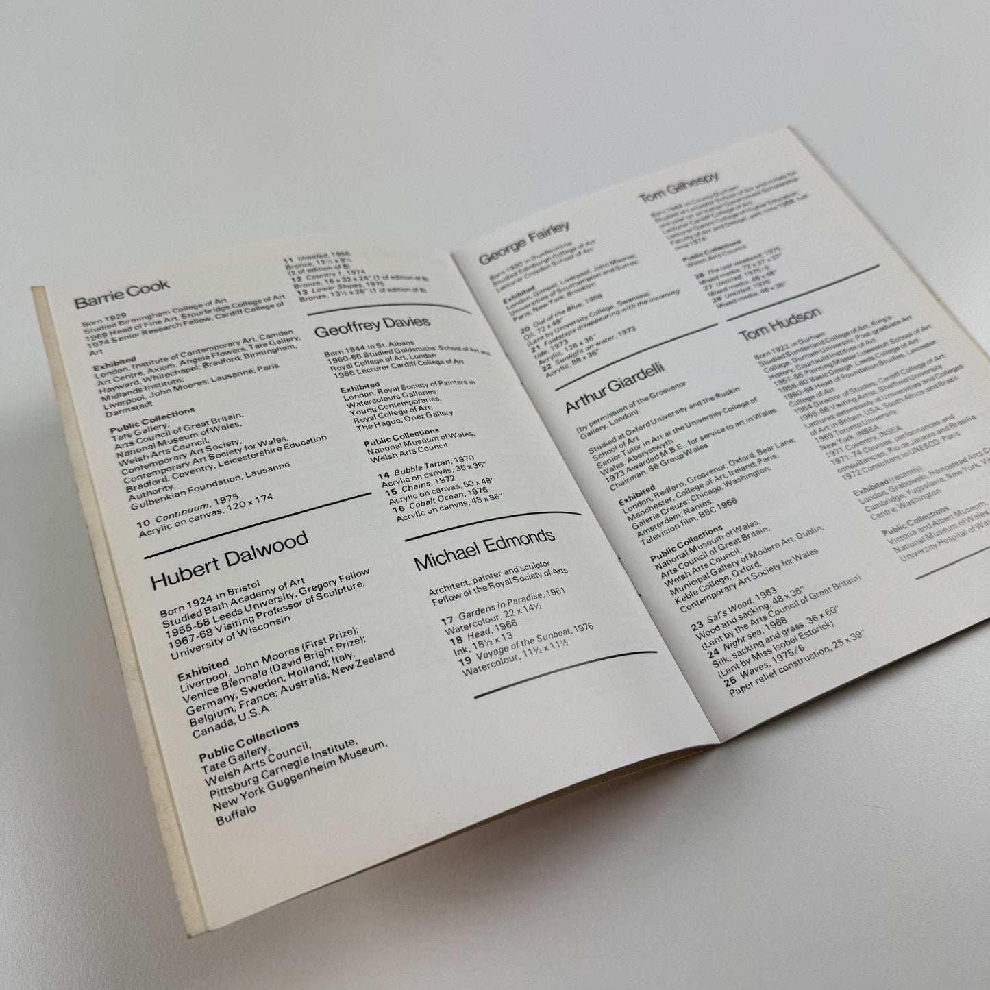 56 Group Wales. Twentieth Anniversary Exhibition 1956-76 | Chapter Arts Centre