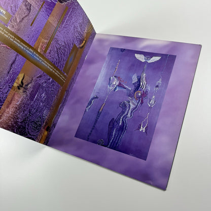 Sun Liang. Reflections | Contrasts Gallery Shanghai | Exhibition catalogue, 2005